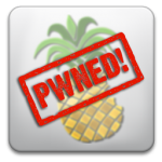 pineapple pineapple