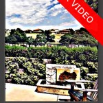 hdrvido hdrvido