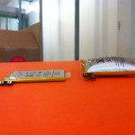 Exploded-iPhone-Battery Exploded-iPhone-Battery