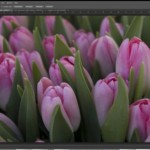 Photoshop-CS6 Photoshop-CS6