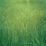 New-ipad-3-background-wal-3 New-ipad-3-background-wal-3