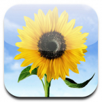 photos-app