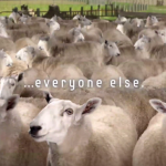 sheep sheep