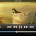 Yxplayer Pro