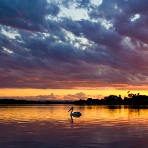 sunsetonfi_b9b43eti