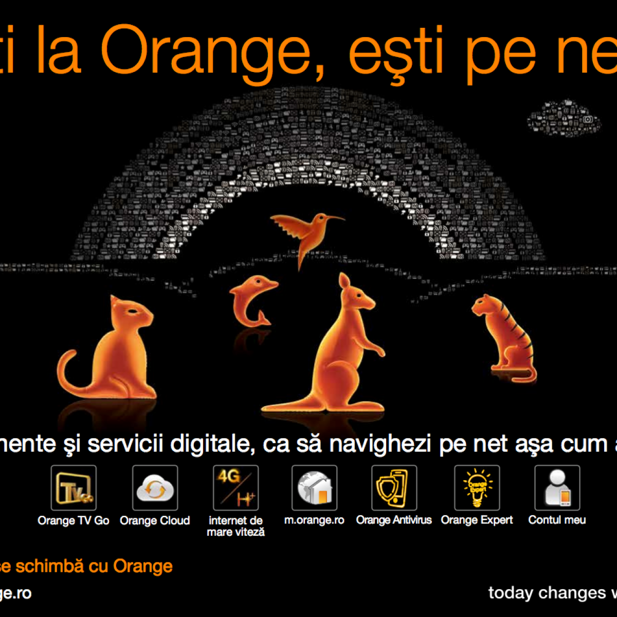 orange ro contact email