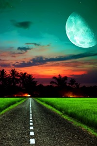 moonlite_road | iDevice.ro