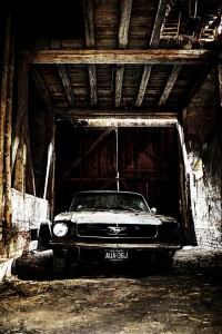 mustang | iDevice.ro