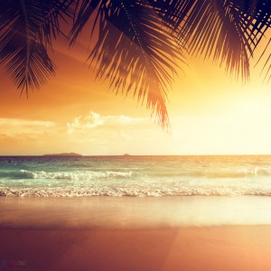 rEstyUgk52 | iDevice.ro