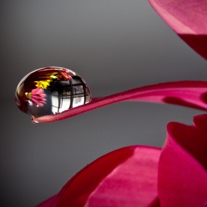 water-drop_MV9jqqCF | iDevice.ro
