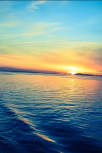 67755 | iDevice.ro