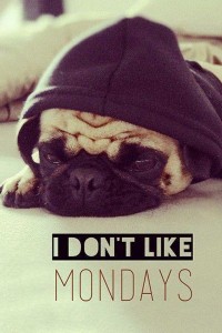 mondays | iDevice.ro