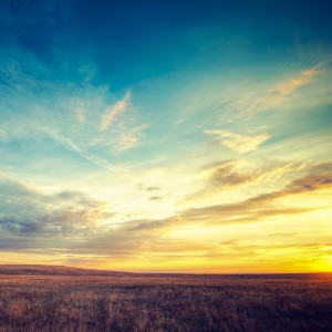 ★-Summer-Barren-Lands-by-RetinaShots | iDevice.ro