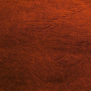 ★-Tanned-Leather-by-RetinaShots | iDevice.ro