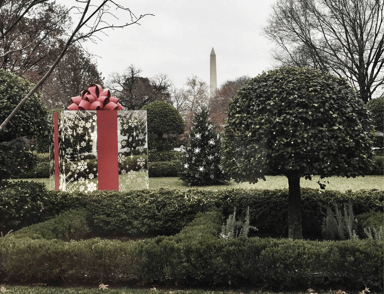 Decoraciones del iPhone 6 de la Casa Blanca 1