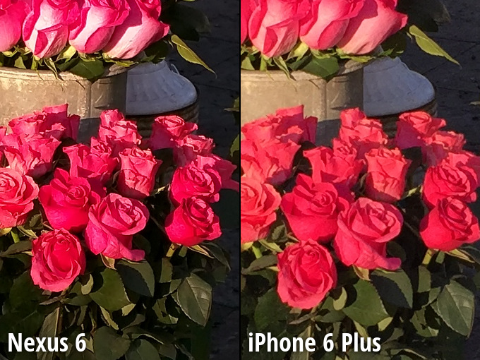 Nexus 6 versus iPhone 6 Plus - camera 2