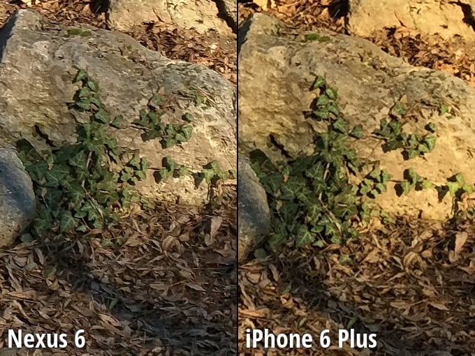 Fotocamera del Nexus 6 e dell'iPhone 6 Plus