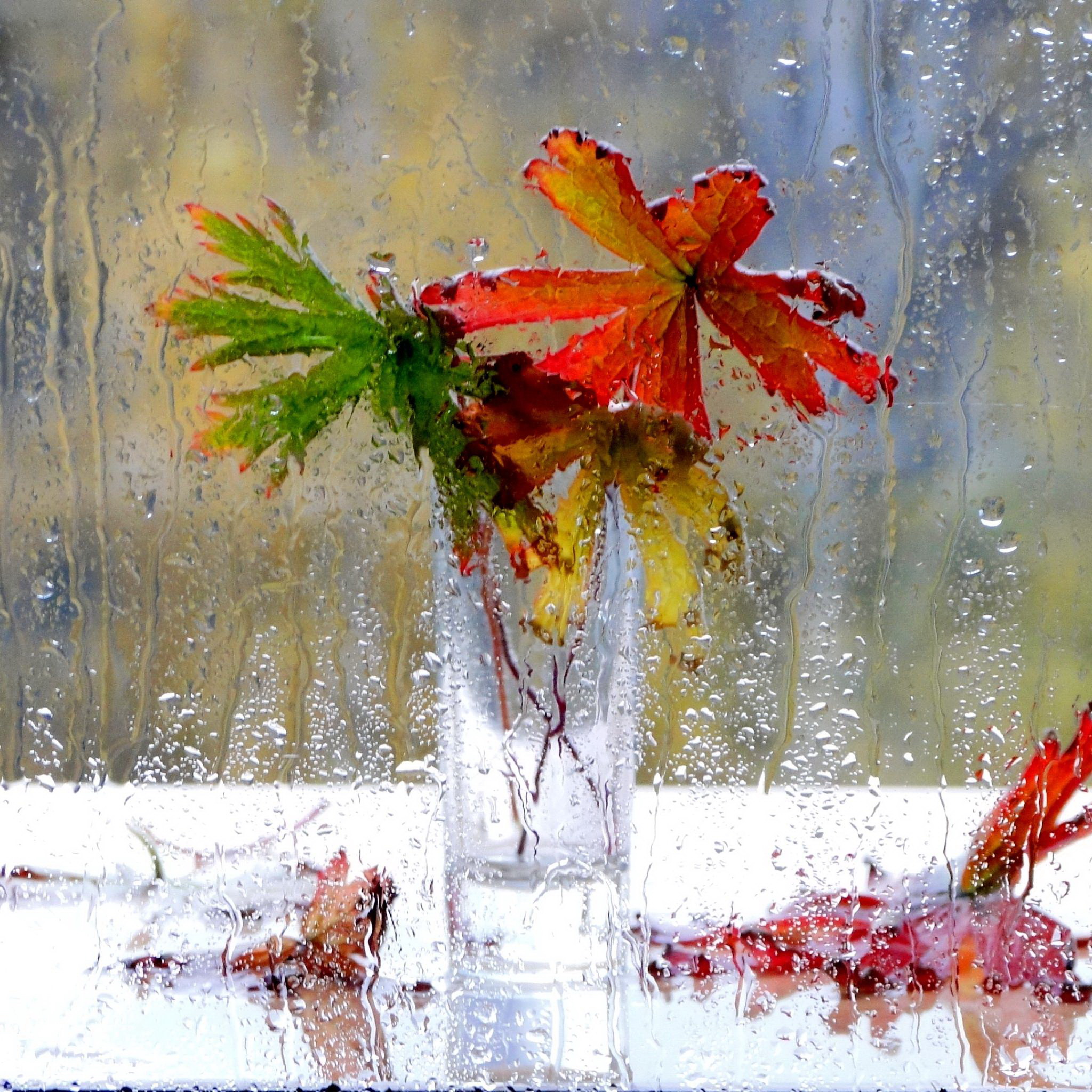 Осенние дождики вовсе не похожи впр 6. Дождливая осень. Осень дождь. Пожелания в дождливый день. Дождливая осень в окне.