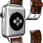 Apple Watch 2, notion 4