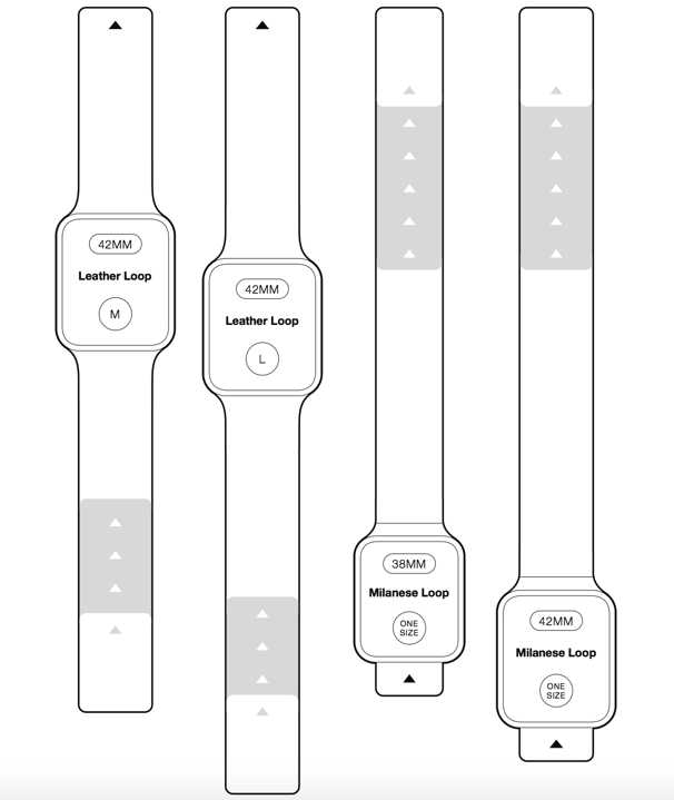 Immagine di esempio dell'Apple Watch