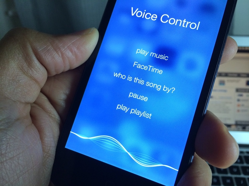 No Voice Control