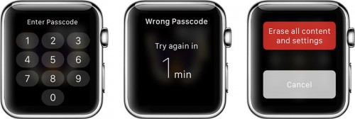 Stulen Apple Watch