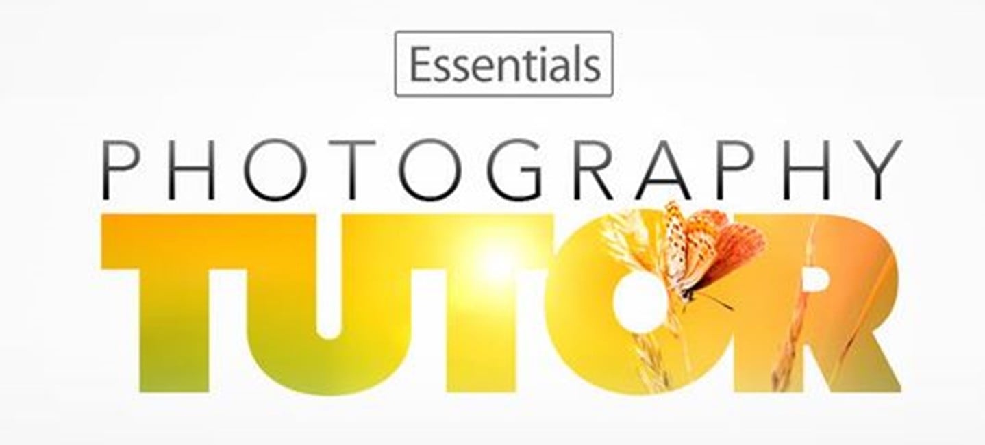 Professeur de photographie