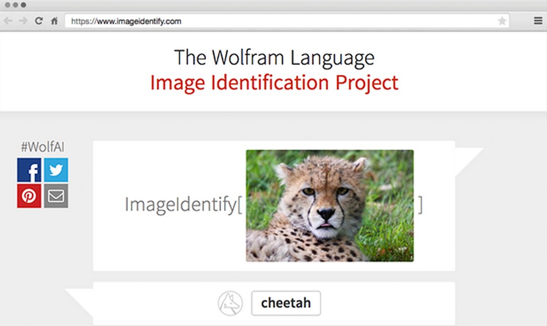 Wolfram identificare imagini