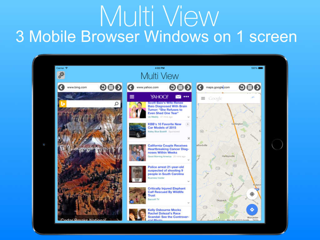 MultiView