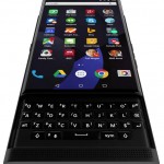 Blackberry Venice 1