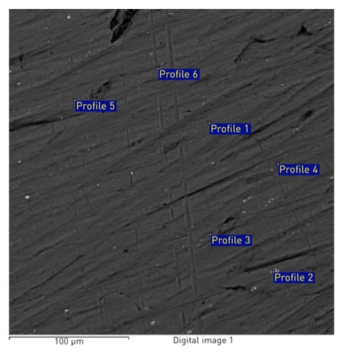 carcasa iPhone 6S analizata microscop 1