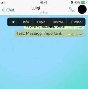 Messaggi importanti di WhatsApp Messenger