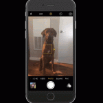 grandi funzionalità iPhone 6S visualizzazione rapida delle foto