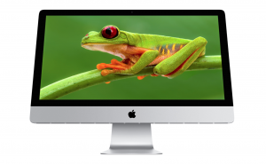 iMac 4K, Magic Mouse 2, Magic TrackPad 2 und Magic Keyboard 2 wurden auf den Markt gebracht