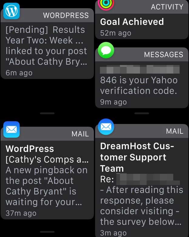 Notifications Apple Watch