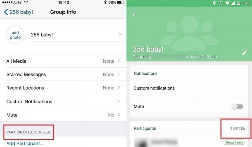 WhatsApp Messenger group chats