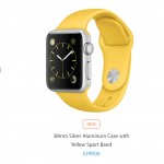 new Apple Watch straps