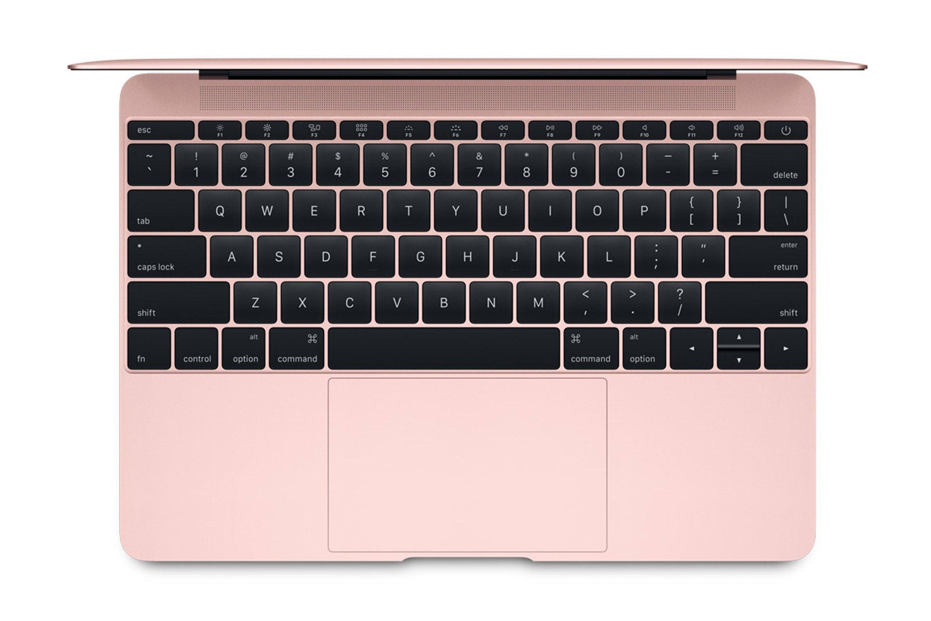 MacBook 12 inch roz