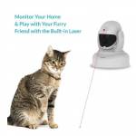 chat de surveillance laser