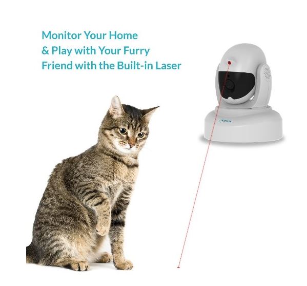 laser monitoring cat