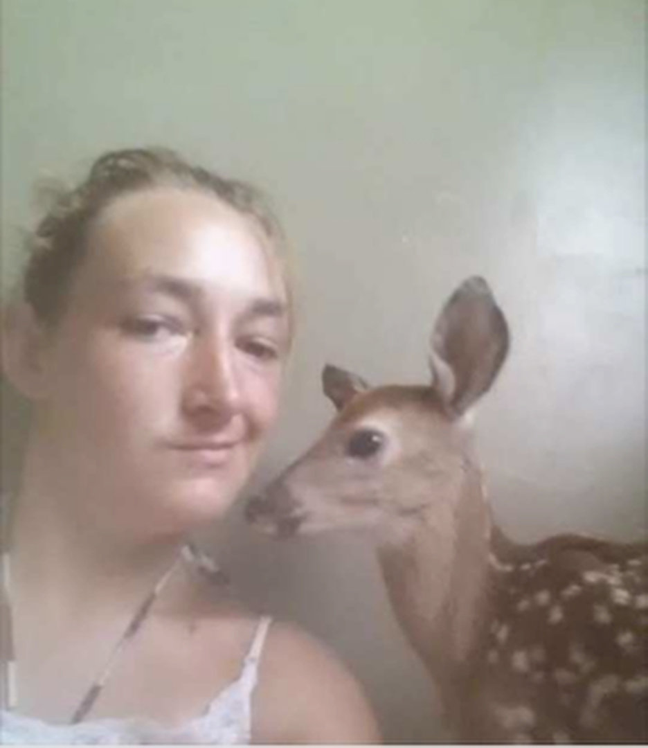 deer selfie