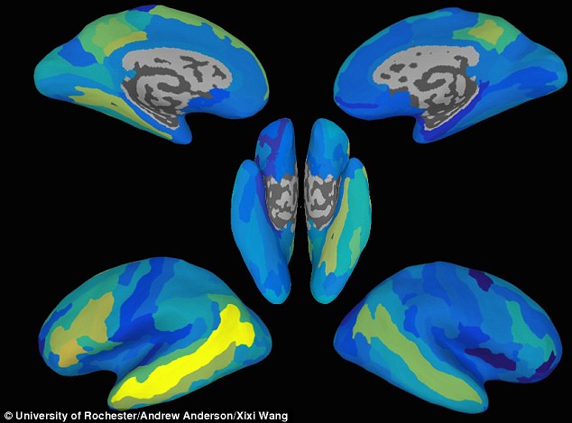 Une technologie médicale capable de lire nos pensées