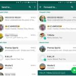 WhatsApp berichten delen chats