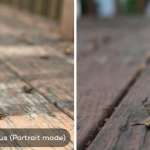 Comparación entre iPhone 7 Plus y cámara de retrato DSLR 7