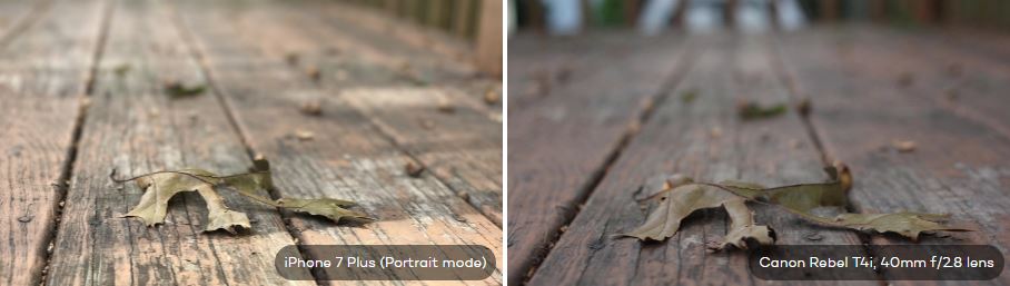 Comparación entre iPhone 7 Plus y cámara de retrato DSLR 7