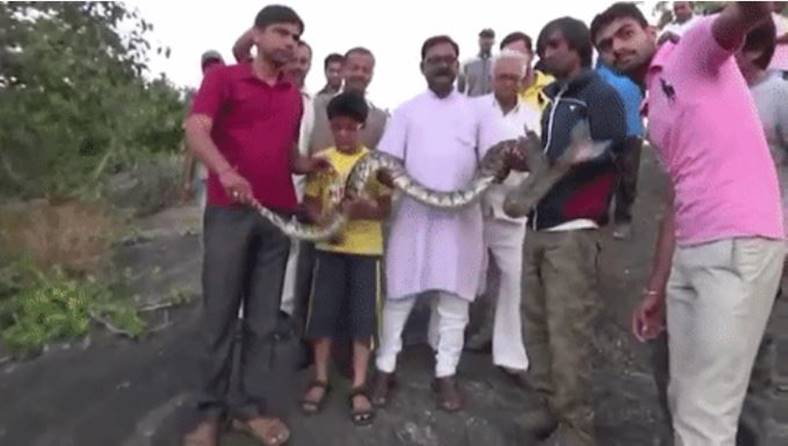 selfie de serpiente