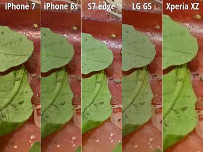 iphone-7-6s-s7-edge-lg-g5-xperia-xz-camera-6