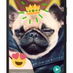 whatsapp-scris-emoji-poze-video