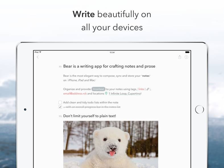 bear-apps-notes