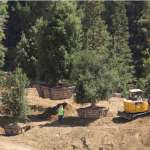 apple-campus-2-intérieur-3